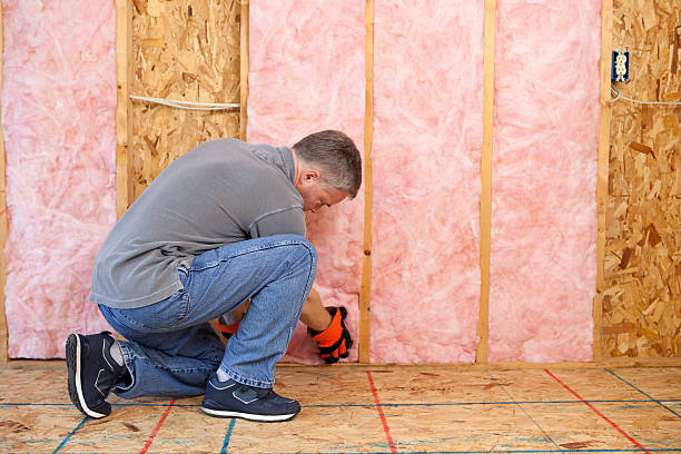 Best Professional Insulation Contractor  in Pinebluff, NC