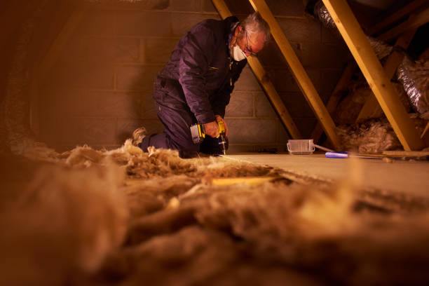 Best Insulation Replacement Services  in Pinebluff, NC