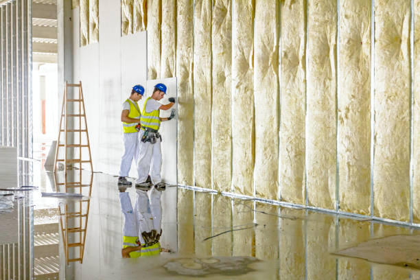 Best Insulation Repair Services  in Pinebluff, NC